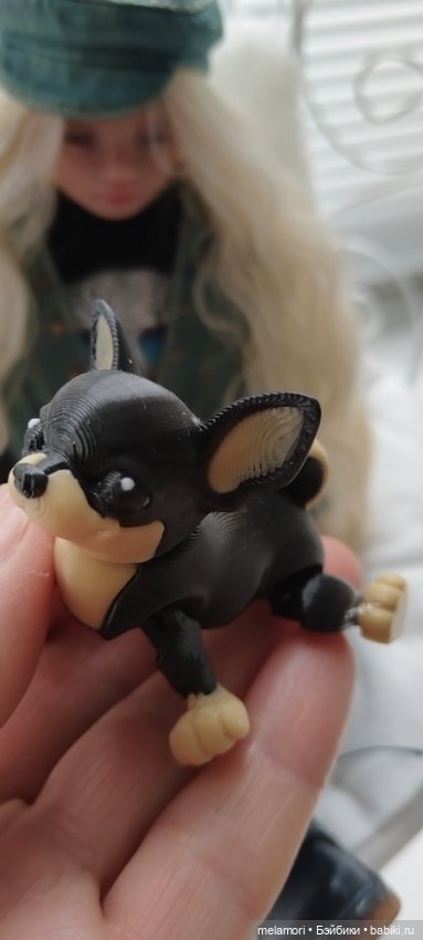 Прогулка с мадмуазель Коко 🦮🦮🦮 (фото 8)