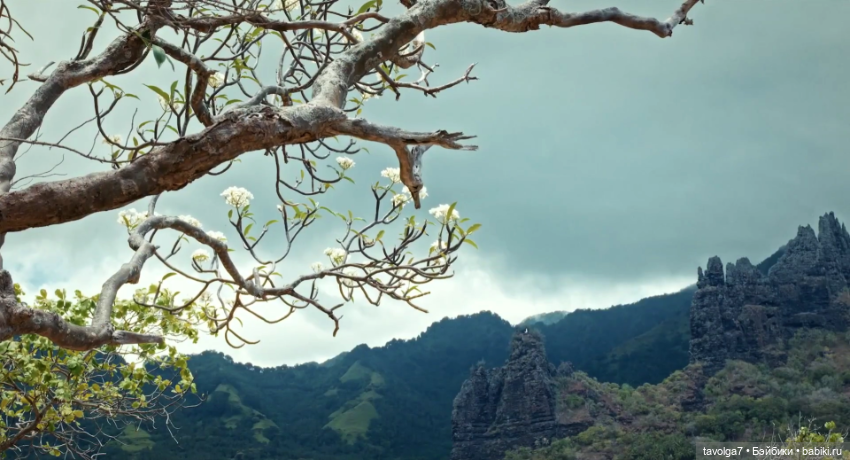 Ещё один "туристический" французский детектив 2025 (фото 6)