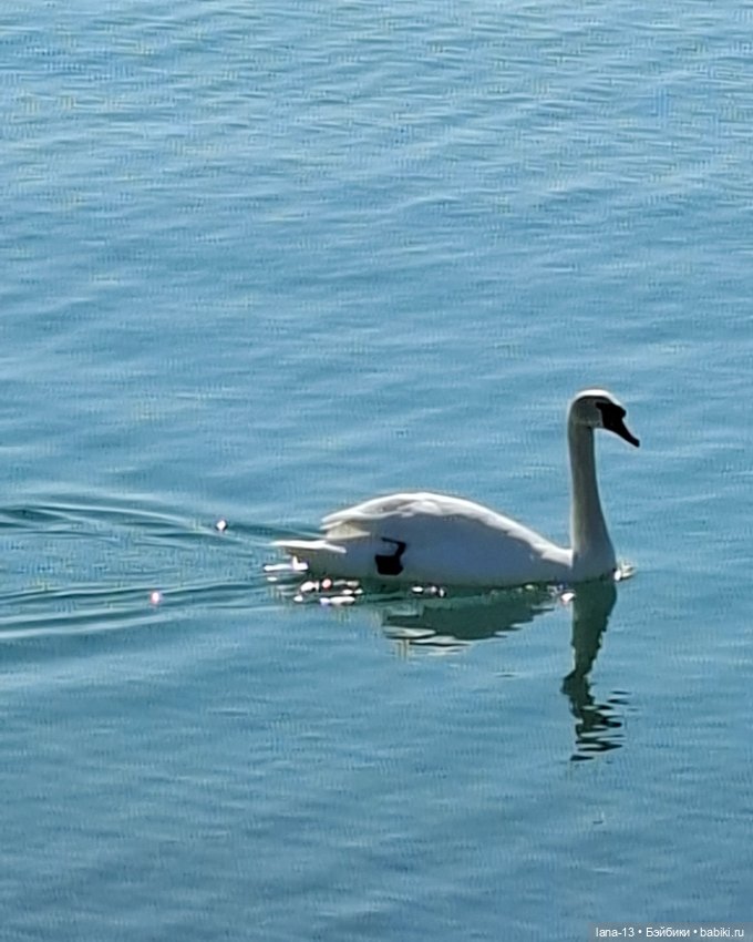 Поход выходного дня — Одежда и обувь для кукол своими руками: фото (фото 3)