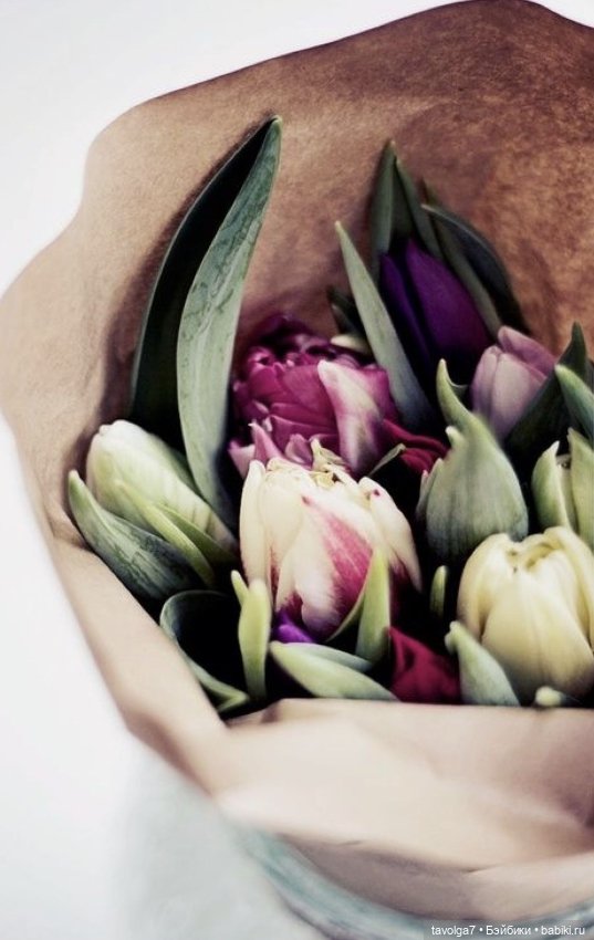 Тюльпаны, кофе - цвет апреля