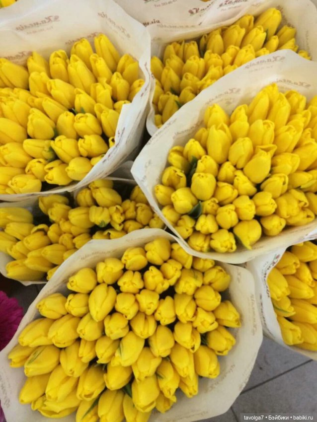 Тюльпаны, кофе - цвет апреля