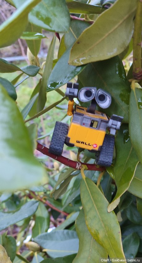 Как Мышуня в прятки играла или как сообразить на пятерых 🐭