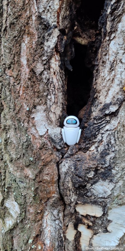 Как Мышуня в прятки играла или как сообразить на пятерых 🐭