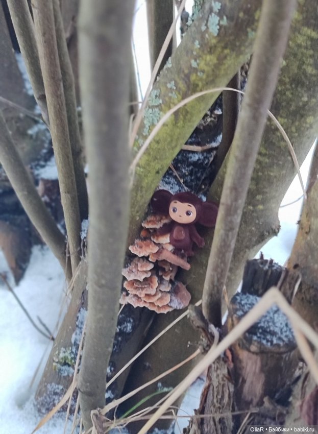 Как Мышуня в прятки играла или как сообразить на пятерых 🐭 (фото 6)