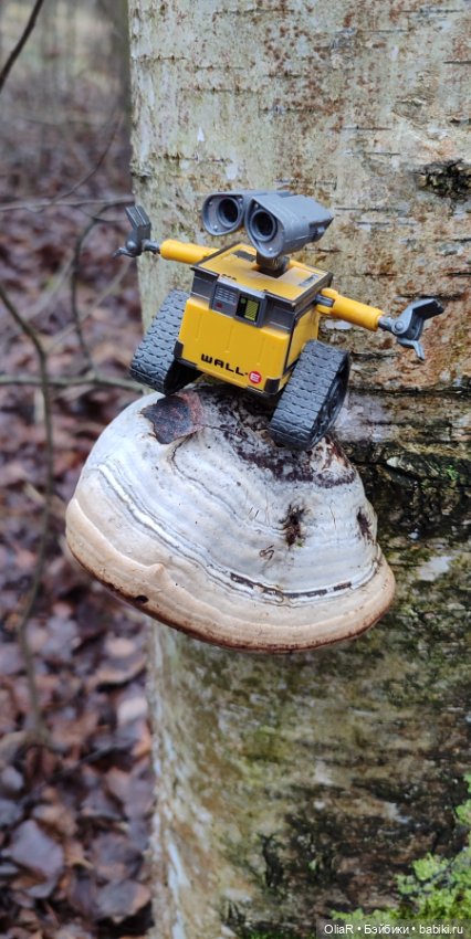 Как Мышуня в прятки играла или как сообразить на пятерых 🐭 (фото 2)