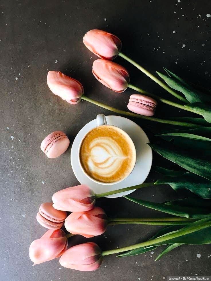 Тюльпаны, макаруни, единороги (фото 5)