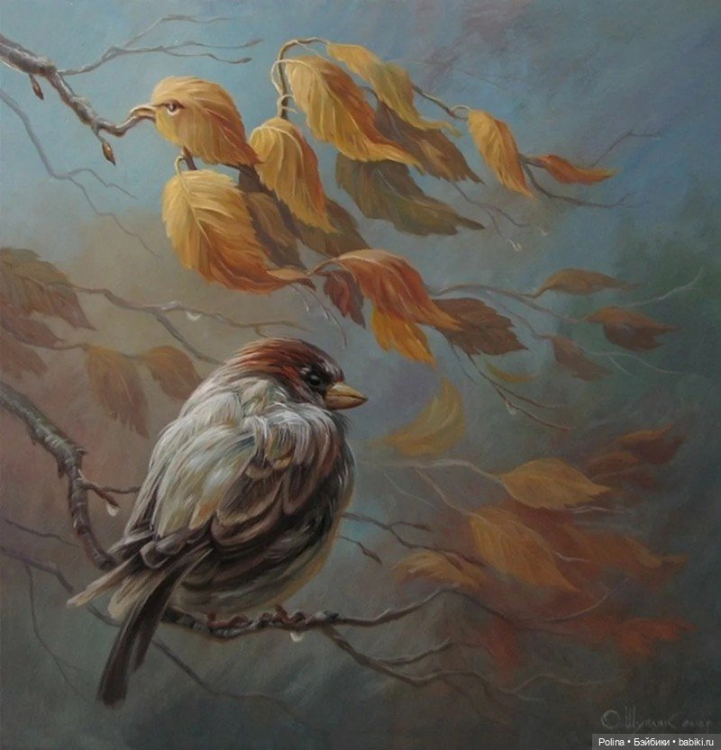 Двоевзоры» Олега Шупляка: искусство видеть невидимое