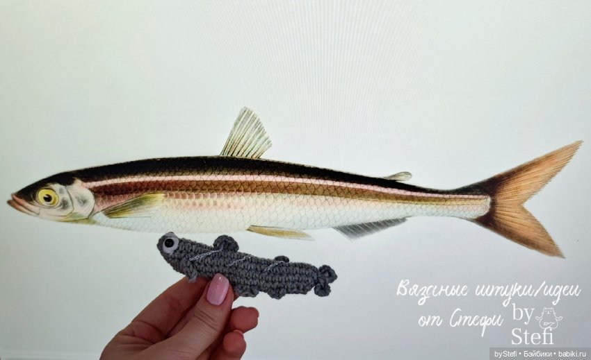 Корюшка Морюшка — Вязаные игрушки и амигуруми: крючком