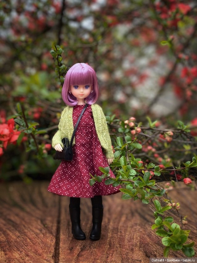 Куклы Takara Tomy (Такара): Licca (Ликка) (фото 3)