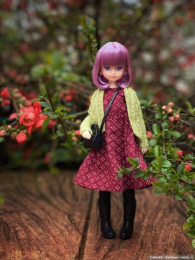 Куклы Takara Tomy (Такара): Licca (Ликка) (фото 2)