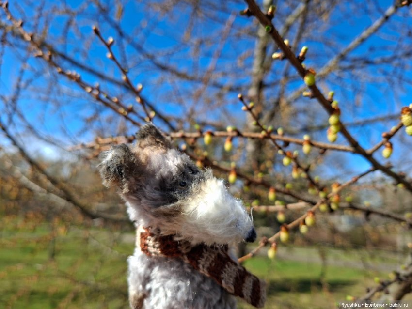 После дождя — Домашние фото авторских игрушек: Тедди