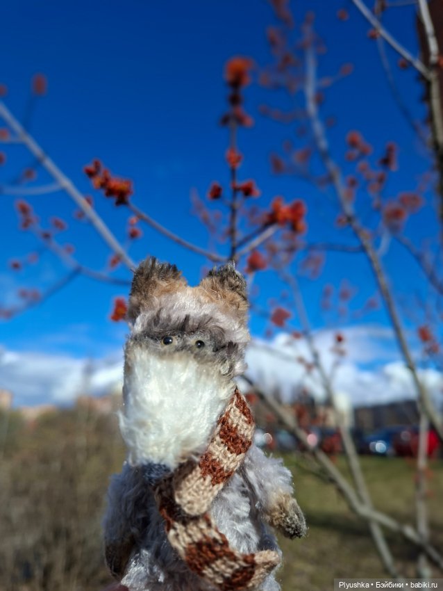 После дождя — Домашние фото авторских игрушек: Тедди