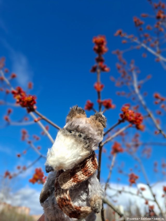 После дождя — Домашние фото авторских игрушек: Тедди