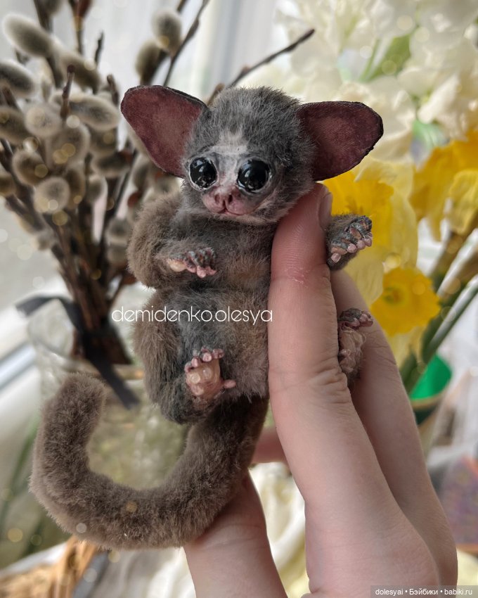 Сенегальский галаго Жучок 🍃 (фото 3)