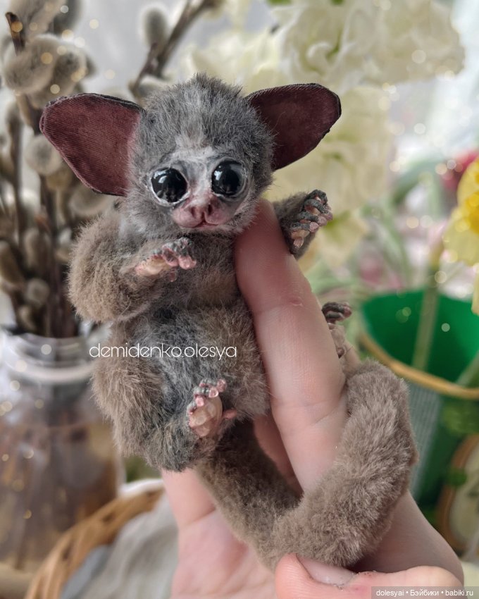 Сенегальский галаго Жучок 🍃 (фото 2)