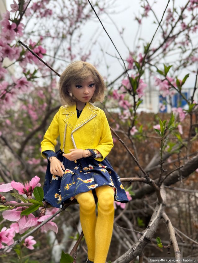 Весна 🌺 — Куклы Dart dolls (Анна Шиткина): российские BJD (БЖД) (фото 5)