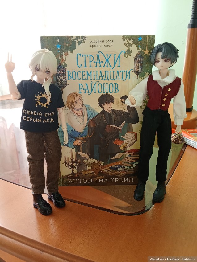 История одного книжного побега (фото 10)