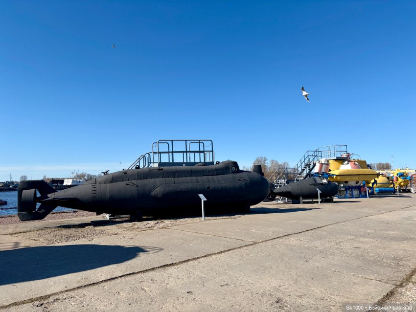 В Кронштадте с Никой (Она Н.Петровой)