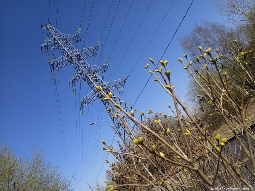 "Сидеть рядом с тем камнем, что вложен в грудь" (фото 3)