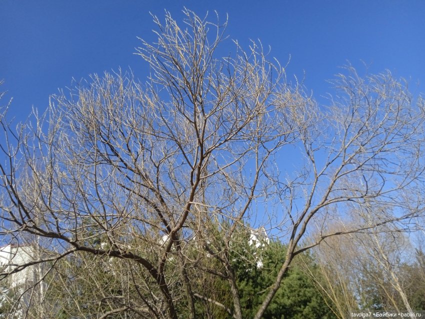 "Сидеть рядом с тем камнем, что вложен в грудь"