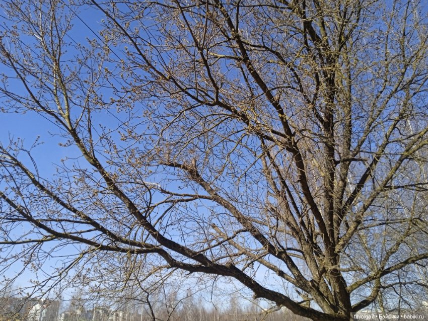 "Сидеть рядом с тем камнем, что вложен в грудь" (фото 4)