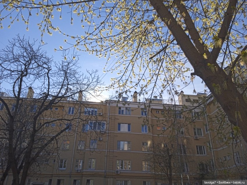 Мальчишка-русалк от Mattel и апрель