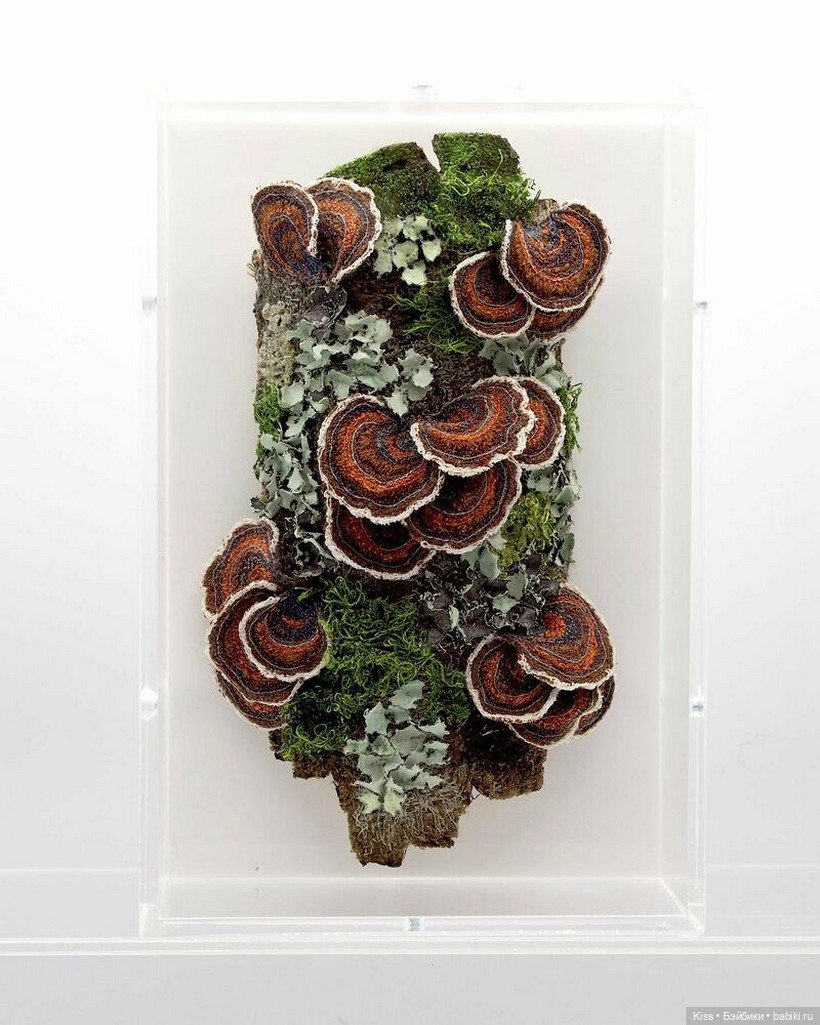 Текстильные грибы Аманды Коббетт (фото 8)