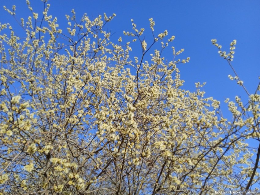 "Сидеть рядом с тем камнем, что вложен в грудь"