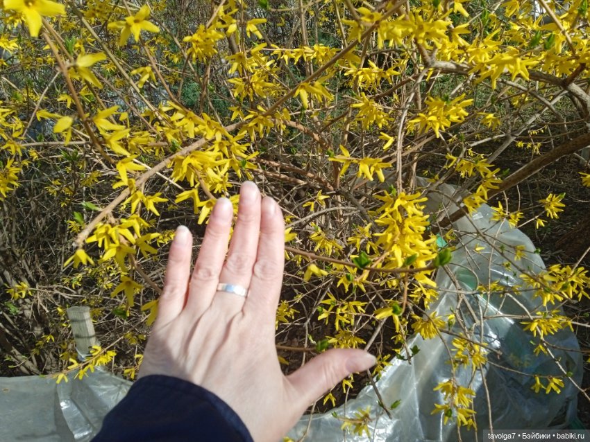 Мальчишка-русалк от Mattel и апрель