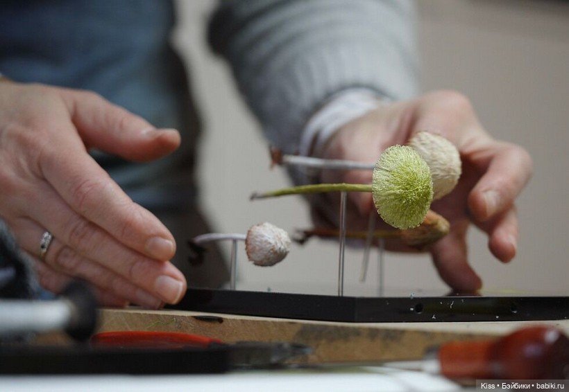 Текстильные грибы Аманды Коббетт (фото 6)