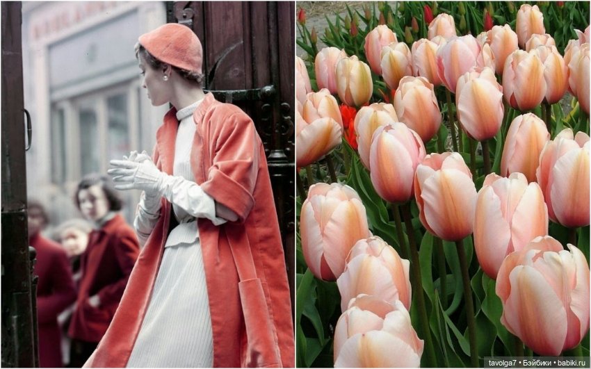 Весенние пальто 1950х и 1960х и тюльпаны (фото 2)