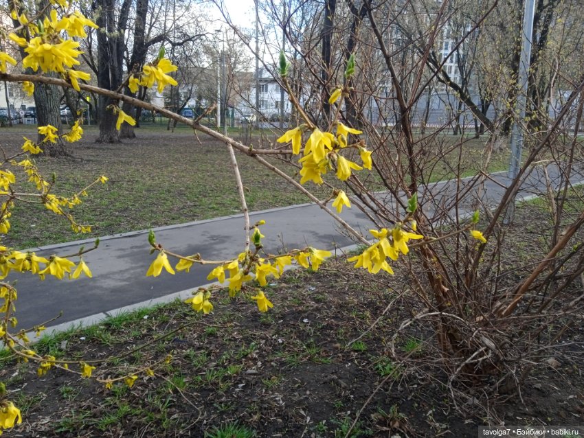 Мальчишка-русалк от Mattel и апрель