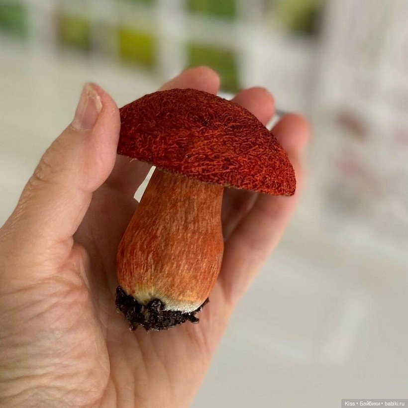 Текстильные грибы Аманды Коббетт (фото 4)