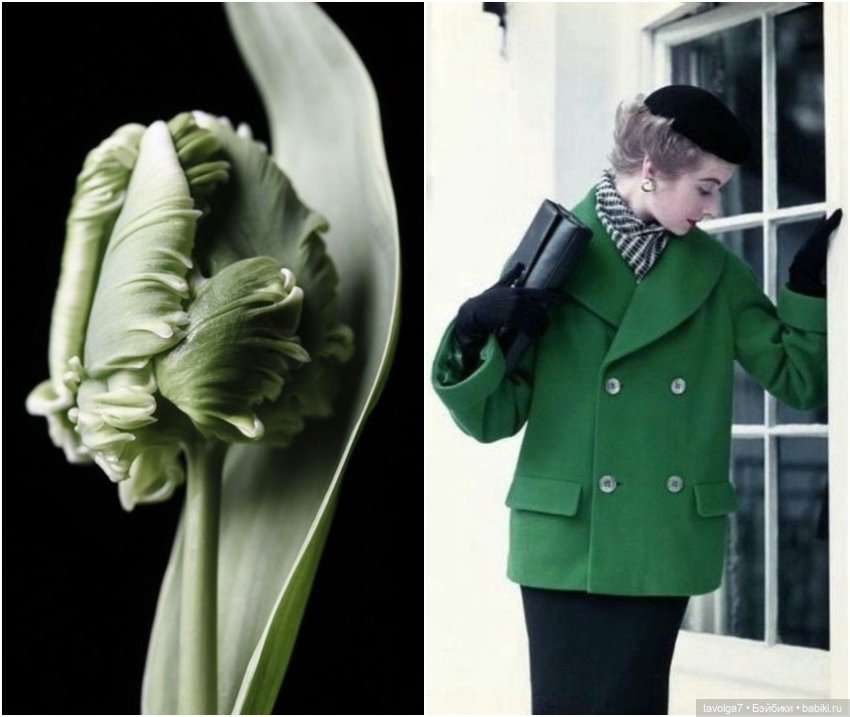 Весенние пальто 1950х и 1960х и тюльпаны (фото 6)