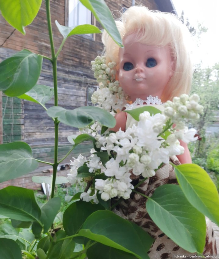 В предверии светлого мая🌱🍀🦋🐞🌞