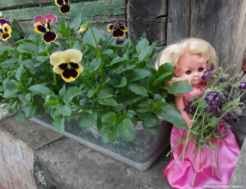 В предверии светлого мая🌱🍀🦋🐞🌞