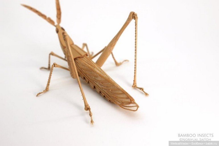 Оживший бамбук: невероятные насекомые Нориюки Саито (фото 6)