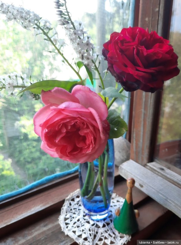 Весна...а за весною-лето🌼🌞🦋