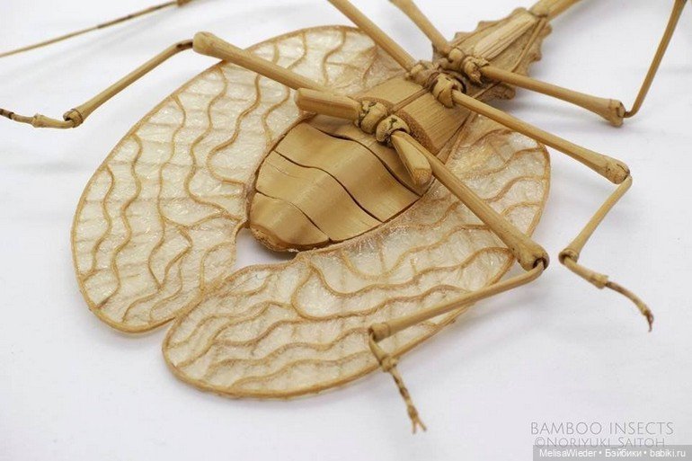 Оживший бамбук: невероятные насекомые Нориюки Саито (фото 2)
