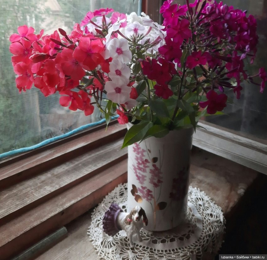 Весна...а за весною-лето🌼🌞🦋