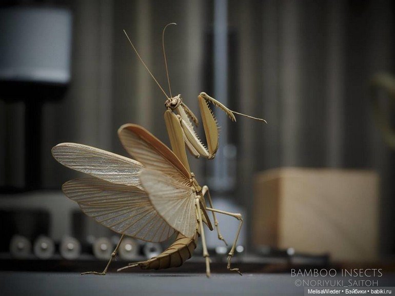 Оживший бамбук: невероятные насекомые Нориюки Саито (фото 3)