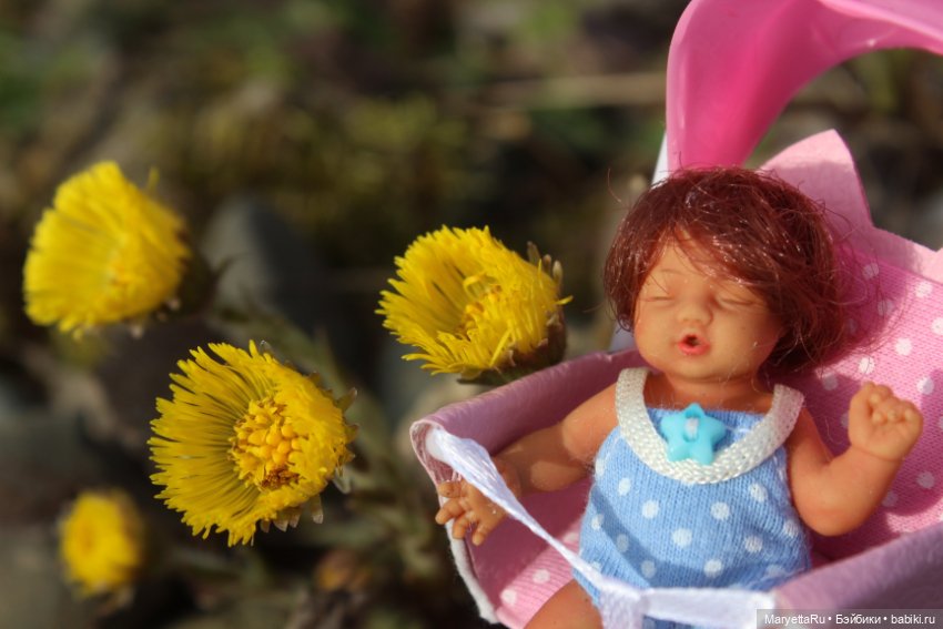 Люська всё проспала. Часть 1 (фото 9)