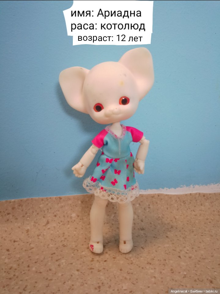 Волшебмаг Школа заселение (фото 3)