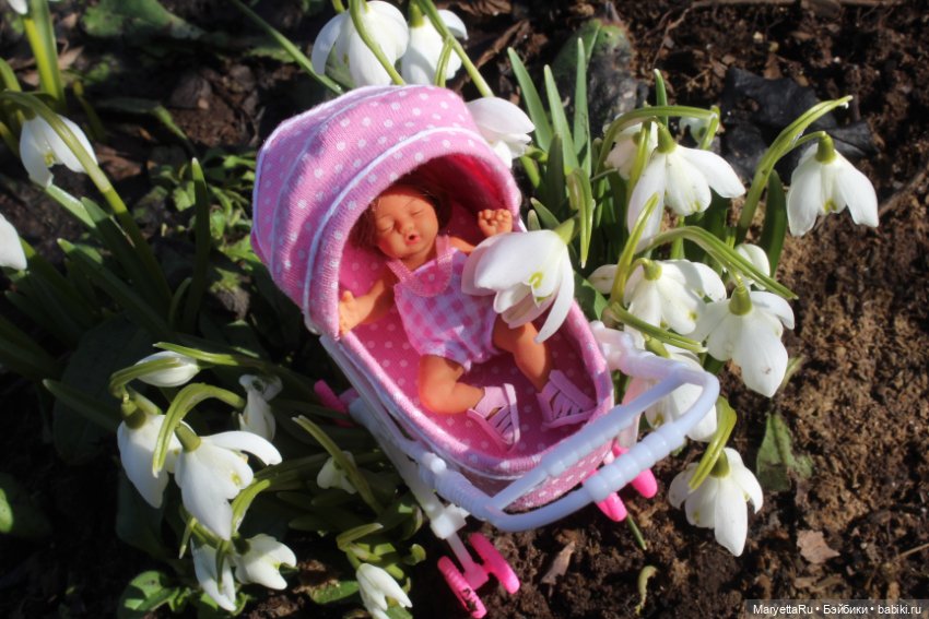 Люська всё проспала. Часть 2 (фото 4)