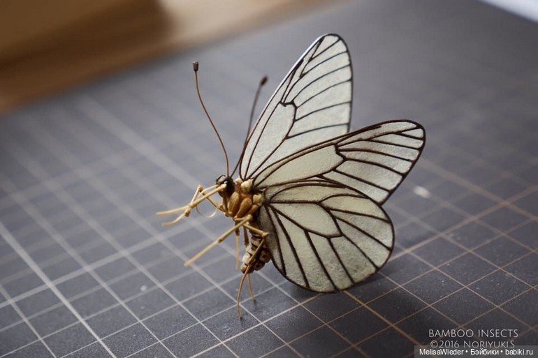 Оживший бамбук: невероятные насекомые Нориюки Саито (фото 5)