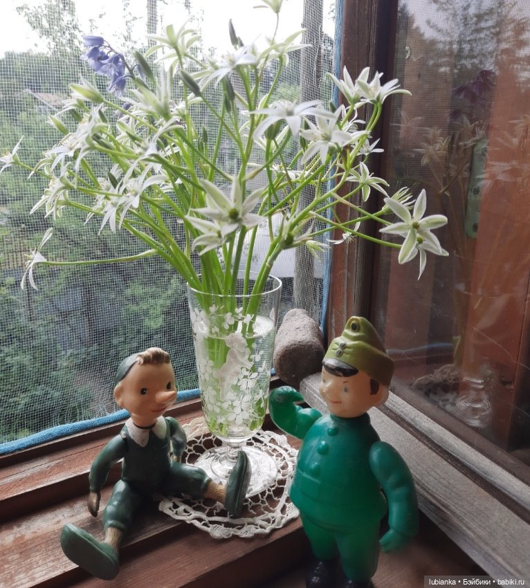 В предверии светлого мая🌱🍀🦋🐞🌞