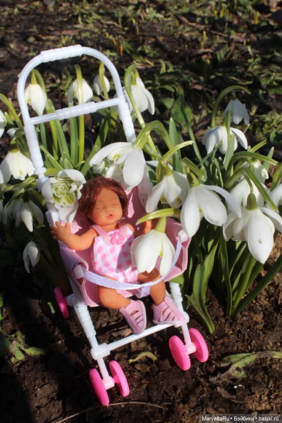 Люська всё проспала. Часть 2 (фото 8)