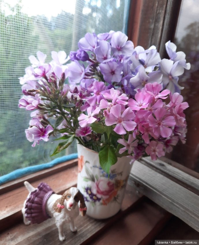 Весна...а за весною-лето🌼🌞🦋