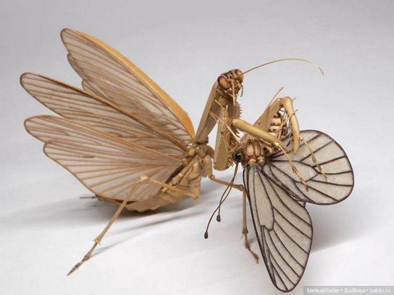 Оживший бамбук: невероятные насекомые Нориюки Саито