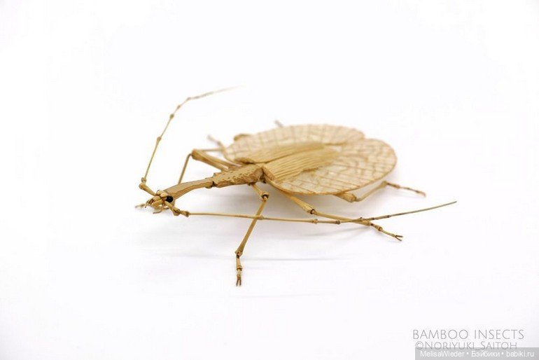 Оживший бамбук: невероятные насекомые Нориюки Саито (фото 7)